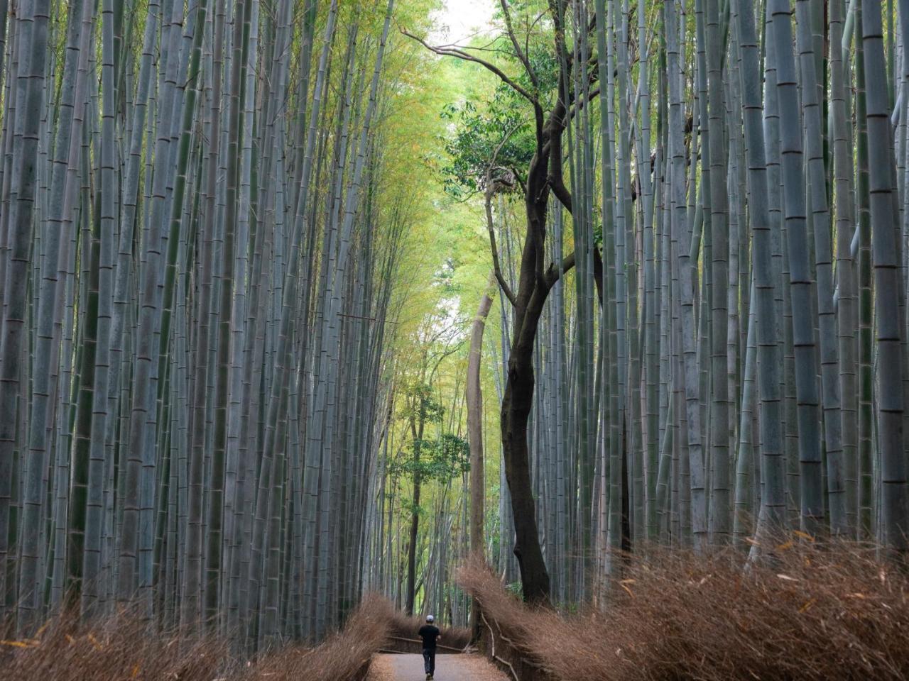 Sumitei Kiyomizu Gojo Hotell Kyoto Exteriör bild